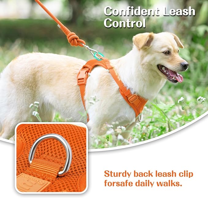 No Pull Dog Harness for Small Medium Large Dogs - Adjustable 2 Layer Mesh Dog Vest with Dual Clip, Escape Proof, Quick Release, Lightweight Breathable Mesh for Walking Hiking (Orange,XL)