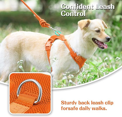 No Pull Dog Harness for Small Medium Large Dogs - Adjustable 2 Layer Mesh Dog Vest with Dual Clip, Escape Proof, Quick Release, Lightweight Breathable Mesh for Walking Hiking (Orange,XS)