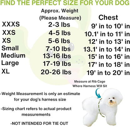 EcoBark Step in Dog Harness - Reflective Teacup Breed Soft Luxurious Mesh Dog Harnesses for XXS, XS, & Small Breed Dogs - Eco-Friendly Secure Halter No Pull Adjustable Pet Vest (Royal Blue, XXS)