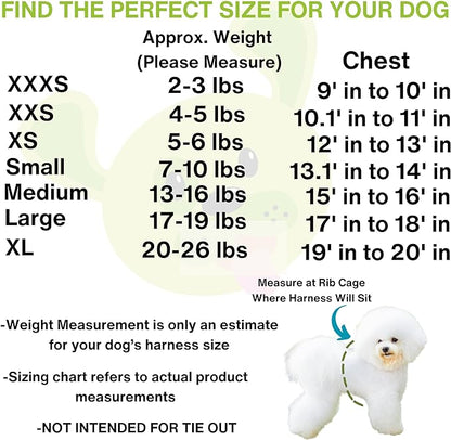 EcoBark Step in Dog Harness - Eco-Friendly Teacup Dog Harnesses for XXS, XS, and Small Dogs - Reflective and Adjustable Mini Body Halter Vest -Tiny Soft Mesh Toy Breed Harness (Black and Teal, XXS)