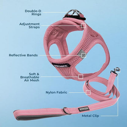 Best Pet Supplies Voyager Step-in Air All Weather Mesh Harness and Reflective Dog 5ft Leash Combo with Neoprene Handle, for Small, Medium and Large Breed Puppies - Set (Pink), X-Small