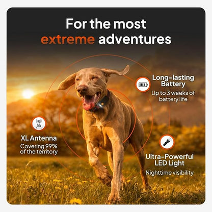 Weenect Dog XT - NEW GPS Collar for Dogs | XL Antenna | Waterproof | Ultra-Durable Integrated Julius-K9 Collar | Subscription Required
