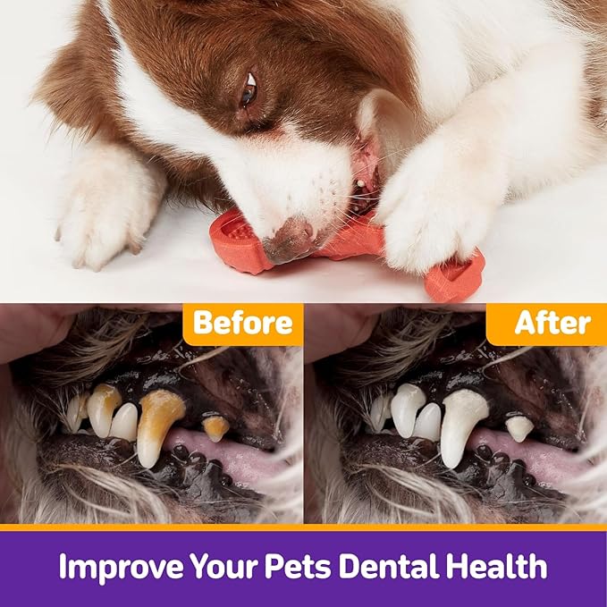 Kimee Dog Toys for Aggressive Chewers, 3 Pack Indestructible Dog Chew Toys, Super Chewer Toys with Tough Nylon Bacon Flavor for All Breed Sizes, Teeth Cleaning & Training, Boredom Relief
