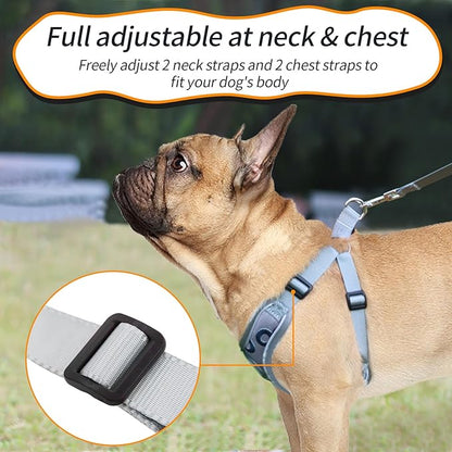 Dog Harness with Leash Set, No Pull Adjustable Step in Dog Harness Vest Harness for Large Dogs Training and Running (L, Gray with Circle)