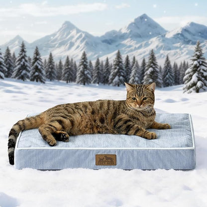 COZY KISS Cooling Dog Bed for Crate, Waterproof Dog Crate Mat with Removable Washable Cover, Orthopedic Egg Crate Foam Support, Small Dog Bed 24x16x3 Inch,Light Blue