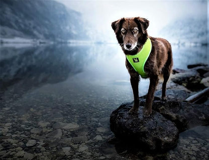 EcoBark Dog Harness - Luxurious Soft Mesh - Eco-Friendly Over the Head Vest Harness - No Pull & No Choke Design - Padded Breathable Body Halter - Large Puppies & Medium Breeds (Green, XL)