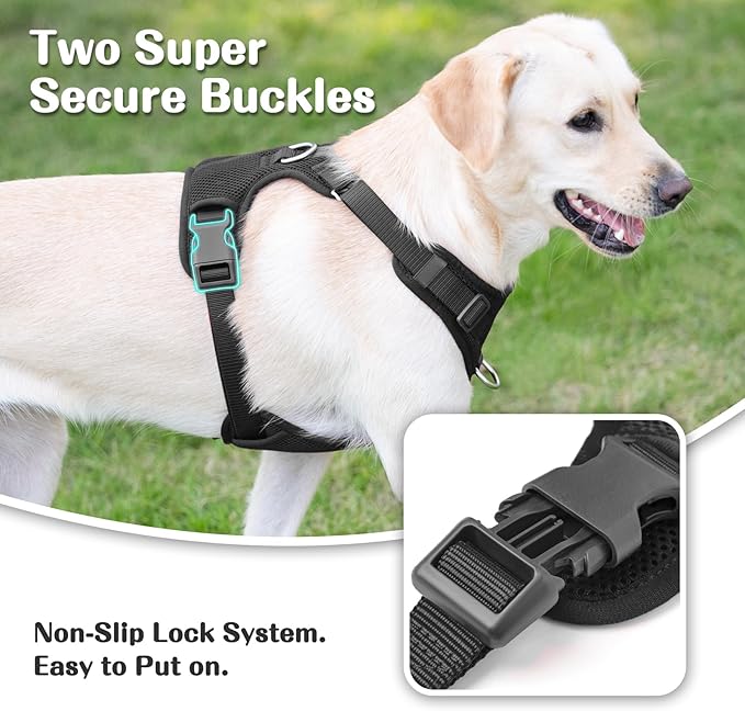 No Pull Dog Harness for Small Medium Large Dogs - Adjustable 2 Layer Mesh Dog Vest with Dual Clip, Escape Proof, Quick Release, Lightweight Breathable Mesh for Walking Hiking (Black,M)