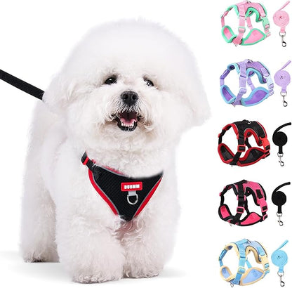 Coppthinktu Dog Harness with Leash Set for Small Sized Dogs Cats, No Pull Dog Harness Soft Mesh Cat Puppy Harness, Adjustable Reflective Step-in Pet Vest Harnesses for Outdoor Walking Training