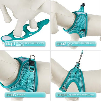 YIMEIS Dog Harness and Leash Set, No Pull Soft Mesh Pet Harness, Reflective Adjustable Puppy Vest for Small Medium Large Dogs, Cats (Turquoise, Medium (Pack of 1)