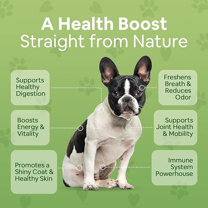 Organic Dog Multivitamin Supplement (12 oz) | Dog Greens Powder - Human Grade Superfoods, adds Essential Vitamins & Minerals to Balance a Homemade Diet, Kibble, Vegan or Raw Food (2 Pack)