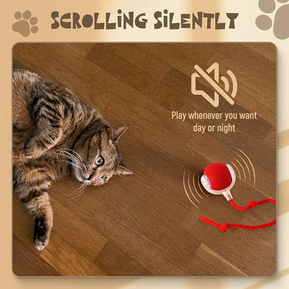 Interactive Cat Toys for Indoor Cats, 2026 New Interactive Pet Toy Ball, Cat Toy Ball for Bored Indoor Cats, Smart Rolling Ball for Dogs & Cats (Yellow+Pink+Blue)