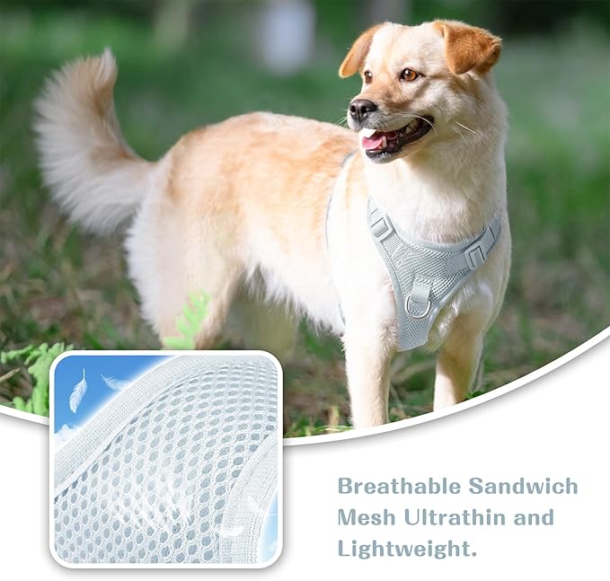 No Pull Dog Harness for Small Medium Large Dogs - Adjustable 2 Layer Mesh Dog Vest with Dual Clip, Escape Proof, Quick Release, Lightweight Breathable Mesh for Walking Hiking (Light Blue,XL)