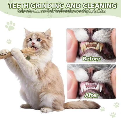 WOUSEDO 7 Pack Silvervine Sticks Cat Toy for Cats with Catnip & Matatabi Ball, Natural Chew Toys for Anxiety Relief & Dental Care, Teeth Cleaning Sticks for Indoor Cats & Kittens