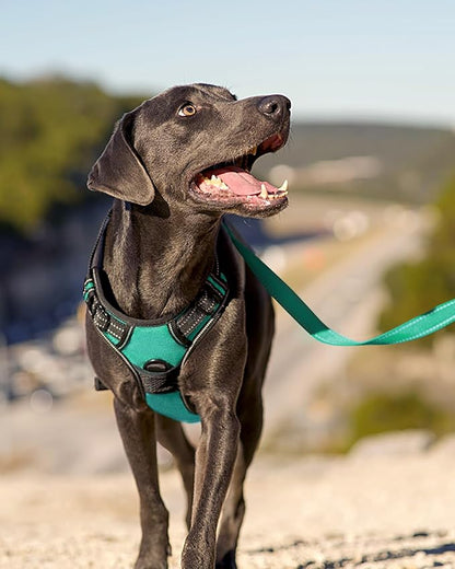 Joytale No Pull Dog Harness for Large Dogs, Reflective Pet Vest with Front Clip, Adjustable Soft Padded Harnesses with Easy Control Handle for Training and Walking, Teal, L