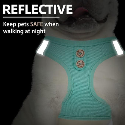 PUPTECK Dog Harness and Leash Set for Small Medium Dogs No Pull Step-in Soft Mesh Puppy Cat Vest Harnesses Reflective at Night, Denim Green L