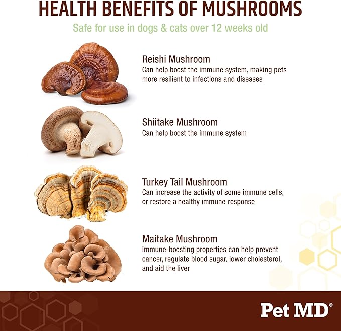Pet MD Mushroom Immune Support for Dogs & Cats - Turkey Tail Mushroom Immune Support Supplement - Milk Thistle with CoQ10 for Dogs & Cats - Immunity Supplement for Pets - 120 Chews