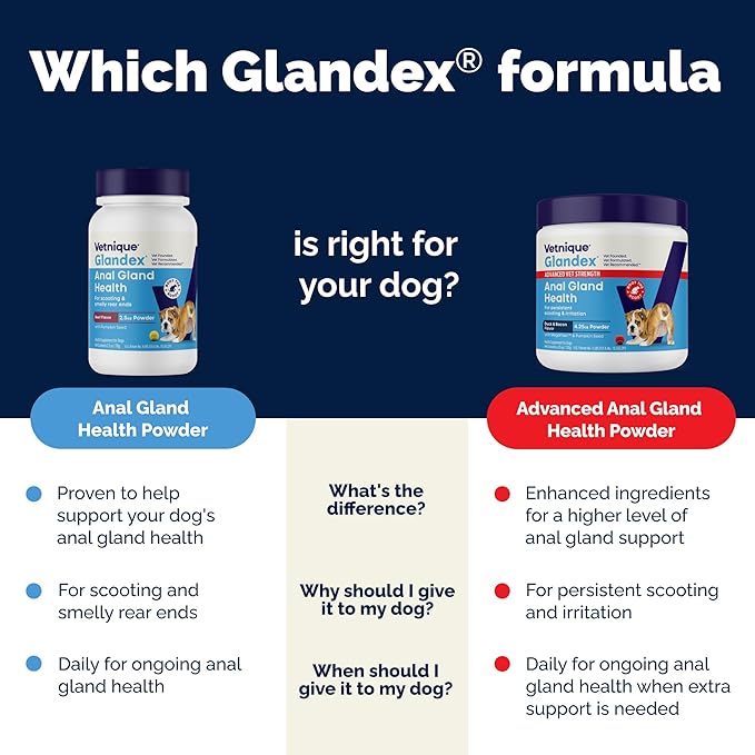 Vetnique Glandex for Dogs Anal Glands Supplement Powder Digestive Health with Fiber, Pumpkin, Digestive Enzymes & Dog Probiotics - Boot the Scoot (2.5oz Powder, Beef Liver)