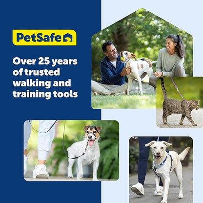 PetSafe Come with Me Kitty Cat Harness & Bungee Leash - Comfortable Cat Harness with Lightweight Bungee Leash for Outdoor Fun - More Secure Walks - Large - Royal Blue