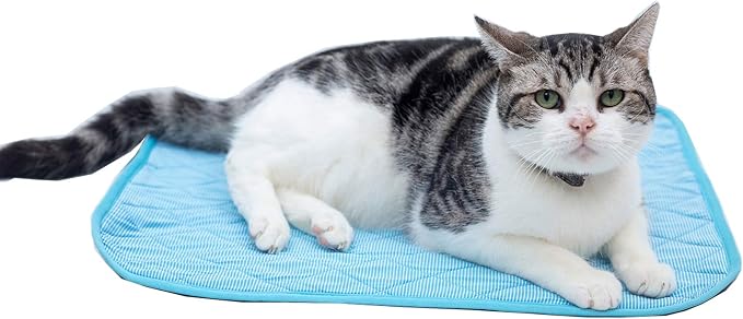 SEIS Dog Ice Pad Ice Silk Cats Kennel Mat Pet Cooling Pad Summer Cool Bamboo Mat Breathable Pad (Solid Gray, S