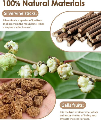 Tocirelo Cat Toys Silvervine Sticks - 10Pack Natural Catnip Toys for Indoor Cats, Catmint Silvervine Blend Kitten Chew Sticks, Matatabi Cat Dental Care Treats for Teeth Cleaning, Kitten Teething Toy