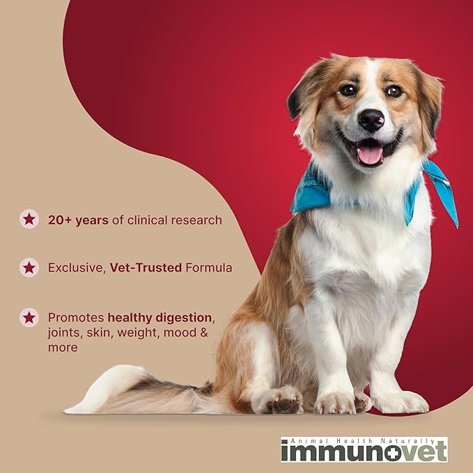 Plant Based Dog Supplement Tablets | Bio-Active Canine Nutritional Supplements Immune & GI Health Support | Veterinary Supplements Natural Fermented Wheat Germ Extract (FWGE) (Tablets)
