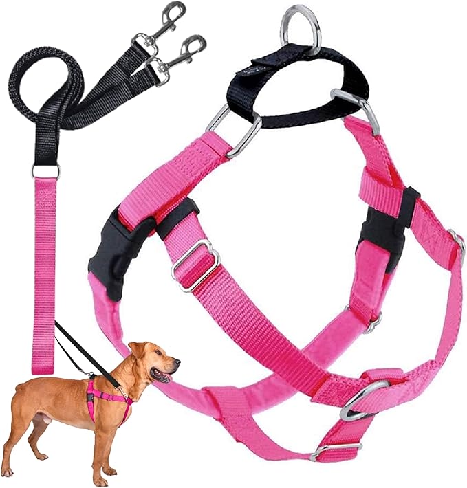 2 Hounds Design Freedom No Pull Dog Harness, Adjustable Harness and Leash Set, Easy Walking & Comfortable Control, Fits Small, Medium & Large Dogs, Solid Colors, Made in USA, 1" MD, Hot Pink