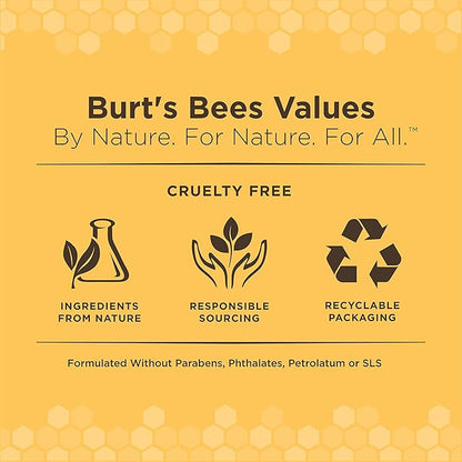 Burt's Bees for Pets Kitten Grooming Wipes with Buttermilk and Honey, Waterless Cat Bath Wipes for Face, Paws, Tail and Coat Cleaning, Gentle Bath Alternative for Indoor Felines, 50 Count