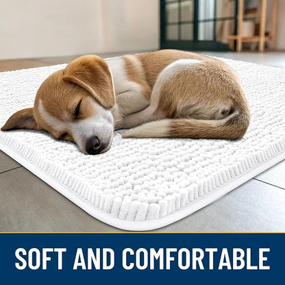 Smiry Dog Door Mat for Muddy Paws 30x20, Absorbs Moisture and Dirt Doormat, Non-Slip Washable Quick Dry Chenille Front Door Mat Indoor Entrance, Entryway Carpet for Inside Floor, White