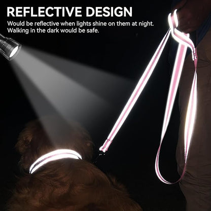 Joytale Dog Leash, 5 FT Double-Sided Reflective, Padded Handle Nylon Heavy Duty Leashes for Medium & Large Dogs Walking, Pink