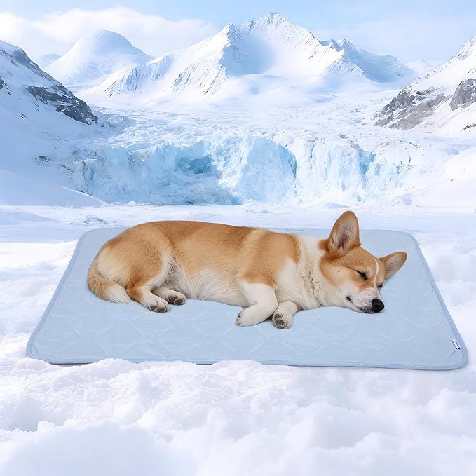 Cooling Blanket for Dogs - Q-MAX>0.4, Lightweight Pet Throw Blanket Furniture Protector, Breathable Fill and Soft Washable Cooling Mat for Summer, Light Blue, 30x40