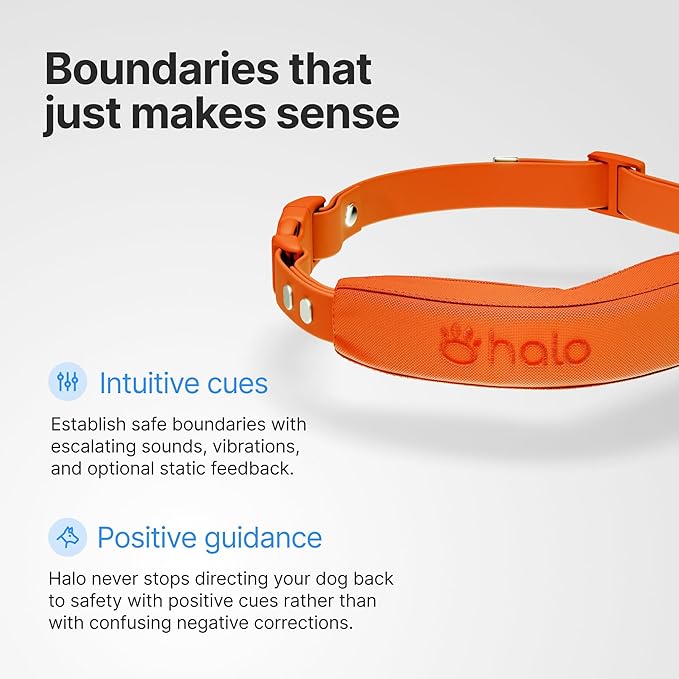 Halo Collar 5 Wireless Dog Fence & GPS Dog Collar, Keep Your Dog Safely Contained Outdoors with App-Controlled Boundaries and Real-Time Tracking, One Size, Graphite