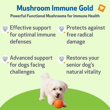 Pet Wellbeing Mushroom Immune Gold for Dogs - Complementary Immune Support with Functional Mushrooms Reishi, Maitake & Turkey Tail - NASC Certified & Vet-Formulated - 8 oz Liquid Formula