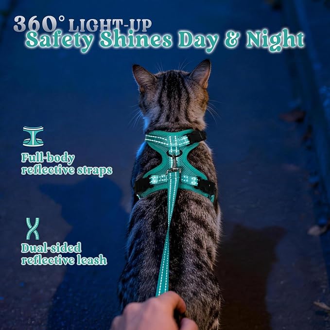 rabbitgoo Cat Harness and Leash, Escape Proof Vest with 3 Adjustable Buckles, Soft Comfortable Kitten Harness, Easy to Wear, Reflective for Safe Outdoor Walking, Small, Green