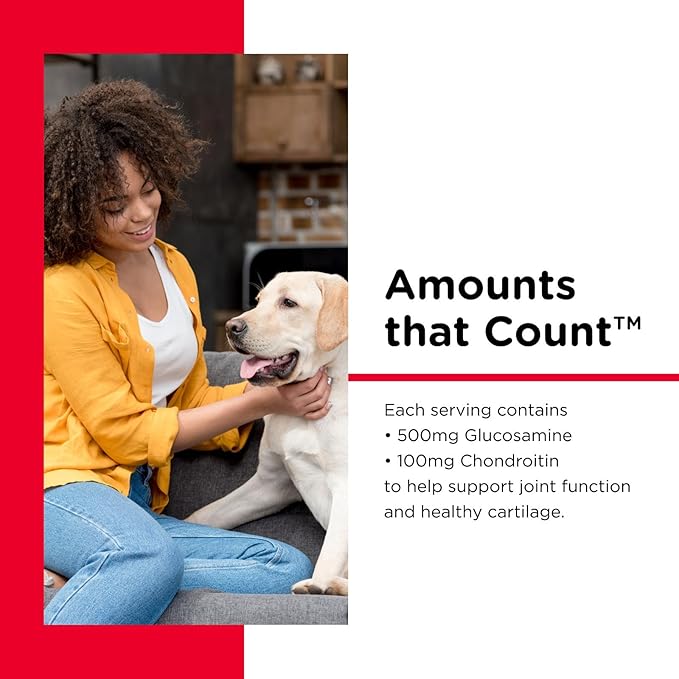Nutri-Vet Hip & Joint Regular Strength Chewable Dog Supplements, Formulated with Glucosamine Chondroitin, Pet Supplies, Joint Supplement for Dogs, Pet Care, Puppy Essentials, 120 Count