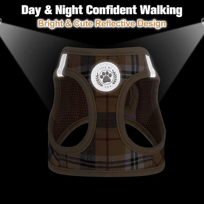 BEAUTYZOO Small Dog Harness and Leash Set,Step in No Choke No Pull Soft Mesh Dog Harnesses Reflective for Extra-Small/Small Medium Puppy Dogs and Cats, Plaid Dog Vest Harness for XS S Pets, Beige L