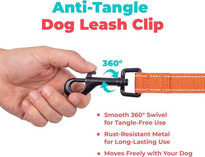 Best Pet Supplies Voyager Reflective Dog Leash or Collar with Neoprene Handle, for Small, Medium, and Large Breed Puppies, Cute and Heavy Duty for Walking, Running and Training - Orange (Leash), M