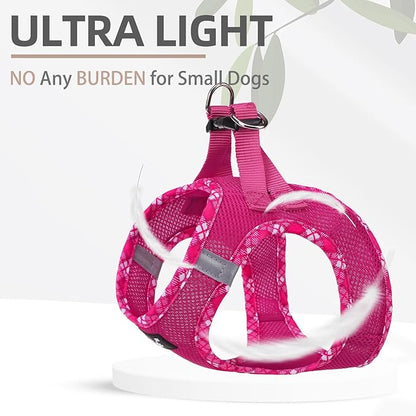 PUPTECK Dog Harness and Leash Set for Small Medium Dogs No Pull Step-in Soft Mesh Puppy Cat Vest Harnesses Reflective at Night, Fuchsia, M