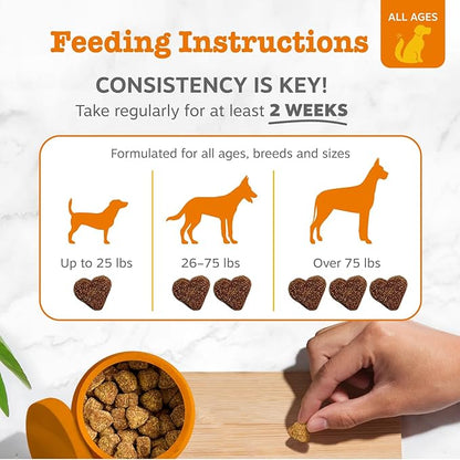 Zesty Paws Probiotics for Dogs, Digestive Enzymes Gut Flora, Digestive Health, Diarrhea & Bowel Support, DE111, Dog Probiotics Soft Chew for Pet Immune System, Chicken, 50 Ct
