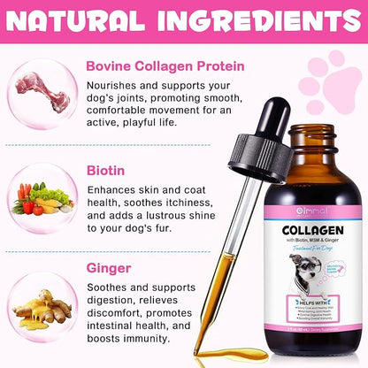 2Pack Collagen for Dogs, Liquid Collagen for Dogs 2 fl.oz, Skin & Coat Supplement for Dogs, Itch Relief for Dogs with Vitamin C, Biotin, MSM, Ginger, Daily Collagen for Dogs Drops, Bacon Flavor