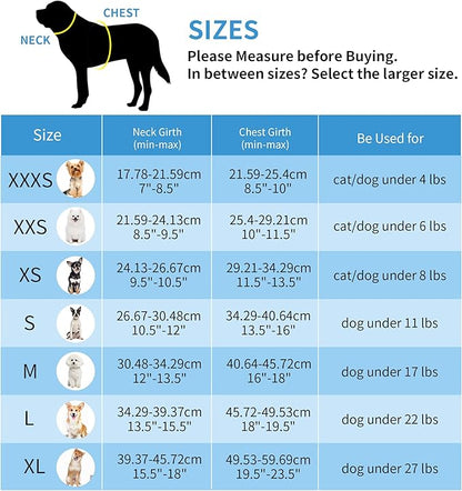 AIITLE Small Harness for Puppy with A Leash - Dog Vest Harness with Super Breathable Mesh, Reflective No-Pull Pet Harness for Outdoor Walking, Running for Small Dogs, Cats Blue XXS
