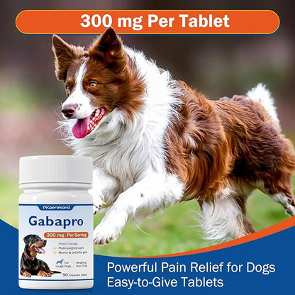Gabapro for Large Dogs 300mg, Relieves Post-Surgical Discomfort, Dog Pain Relief, Joint Support, Over 75 lbs, 90 Tablets
