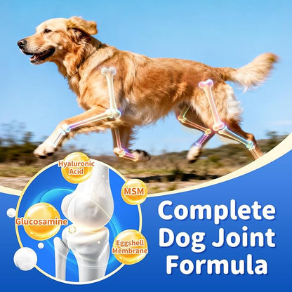 Senior Dog Liver & Joint Supplement – Same, Milk Thistle (Silybin), Glucosamine, MSM for Liver Health Detox, Mobility, Joint Pain Relief, Cognitive & Vitality Support, Chicken Flavor, 90Ct