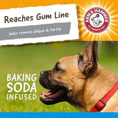 Arm & Hammer for Pets Nubbies Dental Toys, Gator - Dental Chew Toy for Dogs for Moderate Chewers - Reduces Plaque & Tartar Buildup Without Brushing - 2 Pack