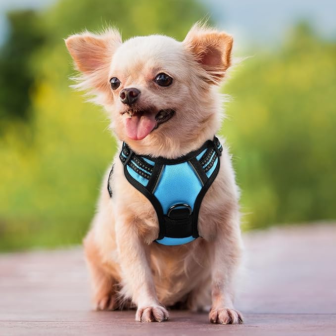 rabbitgoo Dog Harness No Pull with 2 Leash Clips, Adjustable Soft Padded, Reflective Oxford No Choke Pet Vest with Easy Control Handle for Puppy, Blue, XS
