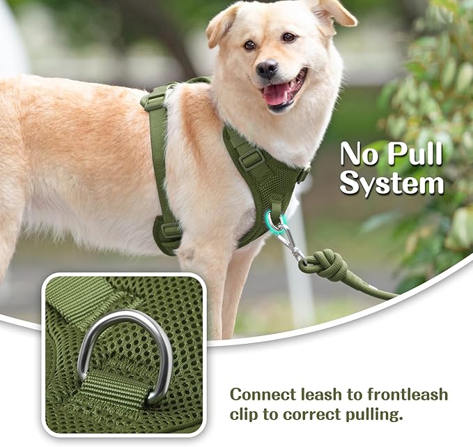 No Pull Dog Harness for Small Medium Large Dogs - Adjustable 2 Layer Mesh Dog Vest with Dual Clip, Escape Proof, Quick Release, Lightweight Breathable Mesh for Walking Hiking (Misty Green,XS)