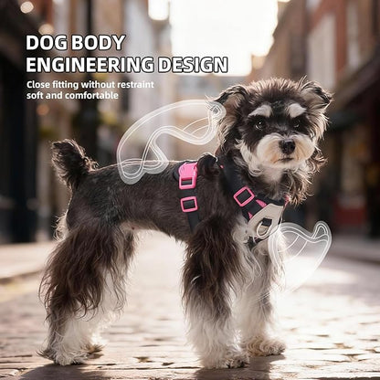 Small Dog Harness and Leash Set, Breathable Mesh Puppy Harness, Adjustable Dog Harness for Small Medium Large Dogs, No-Pull Pet Harness for Daily Walking (Hotpink, X-Large)