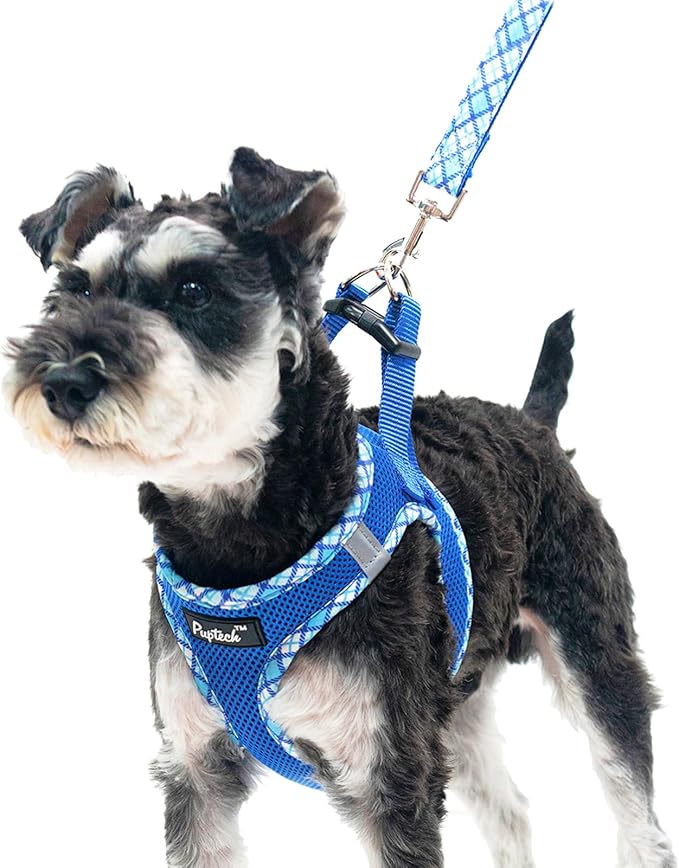 PUPTECK Dog Harness and Leash Set for Small Medium Dogs No Pull Step-in Soft Mesh Puppy Cat Vest Harnesses Reflective at Night, Blue M