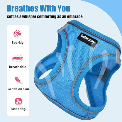 Solmoony Sparkly XS Dog Harness and Leash Set, Step in Soft Light Puppy Vest, Breathable Reflective Pet Harness for Walking, Puppy Harness for Small Dogs Cats (Blue, XS)