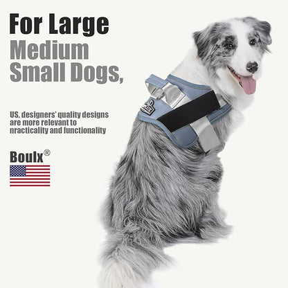 Bolux Dog Harness, No-Pull Reflective Dog Vest, Breathable Adjustable Pet Harness with Handle for Outdoor Walking - No More Pulling, Tugging or Choking (Blue, XS)