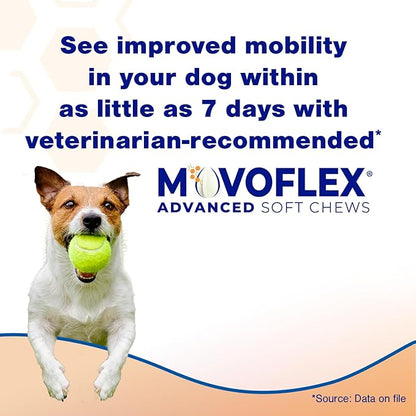 Advanced Soft Chews Hip and Joint Support Supplement for Small Dogs - Movoflex 120 Count by Virbac